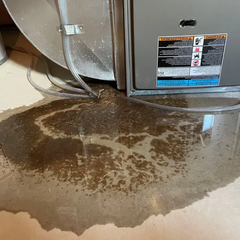 Pipe Burst and Leak Restoration in Sausalito, CA